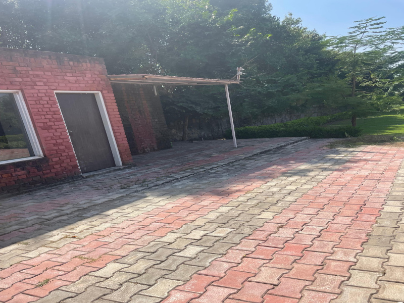  Agricultural Land 2600 Sq. Yards for Sale in Sohna, Gurgaon