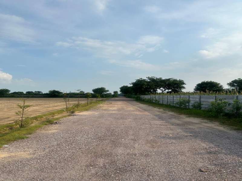  Agricultural Land 50 Bigha for Sale in Naugaon, Alwar