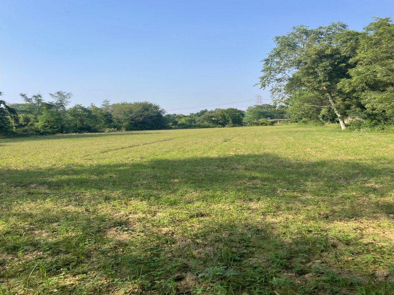  Agricultural Land 5 Acre for Sale in Sohna Road, Faridabad