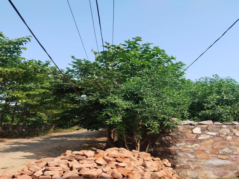  2000 Sq. Yards Agricultural/Farm Land for Sale in Sohna, Gurgaon