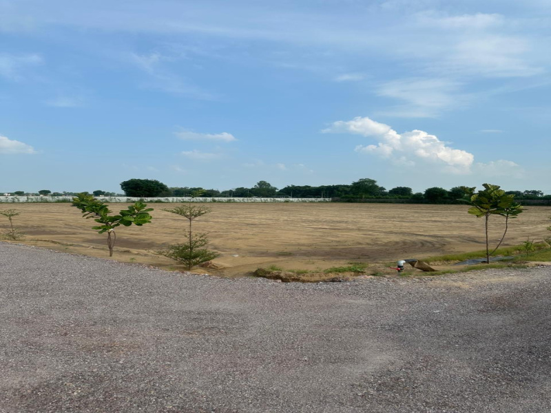  10 Bigha Agricultural/Farm Land for Sale in Pahari, Bharatpur