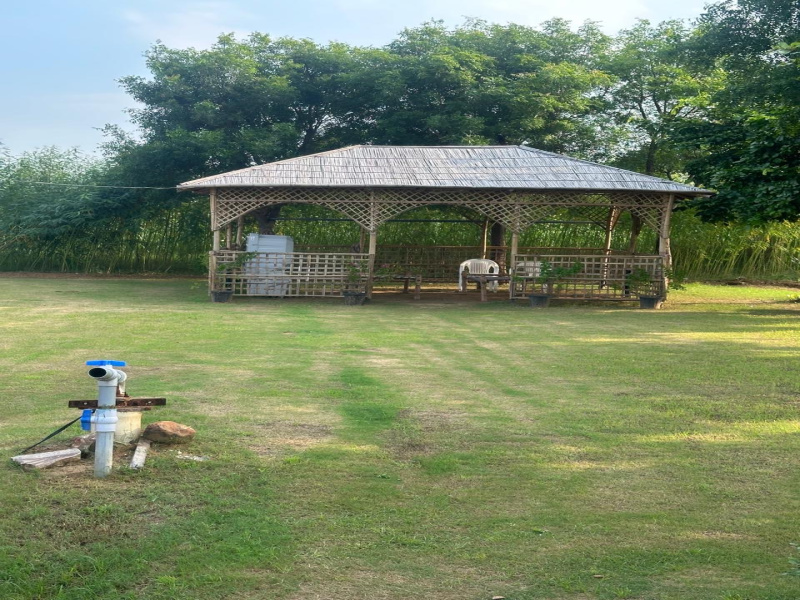  10 Bigha Agricultural/Farm Land for Sale in Pahari, Bharatpur