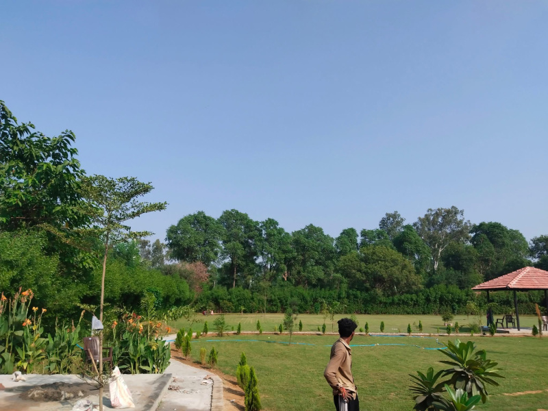  10 Bigha Agricultural/Farm Land for Sale in Deeg, Bharatpur