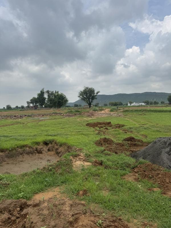 10 Bigha Agricultural/Farm Land for Sale in Deeg, Bharatpur