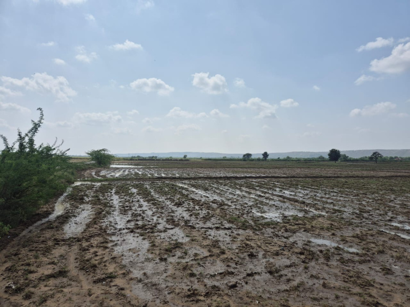  30 Bigha Agricultural/Farm Land for Sale in Pahari, Bharatpur