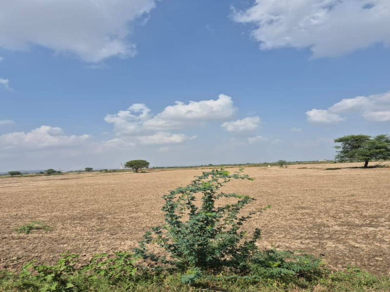  30 Bigha Agricultural/Farm Land for Sale in Pahari, Bharatpur