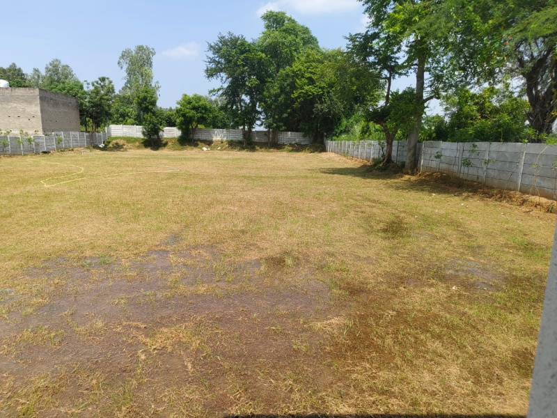  10 Bigha Agricultural/Farm Land for Sale in Pahari, Bharatpur