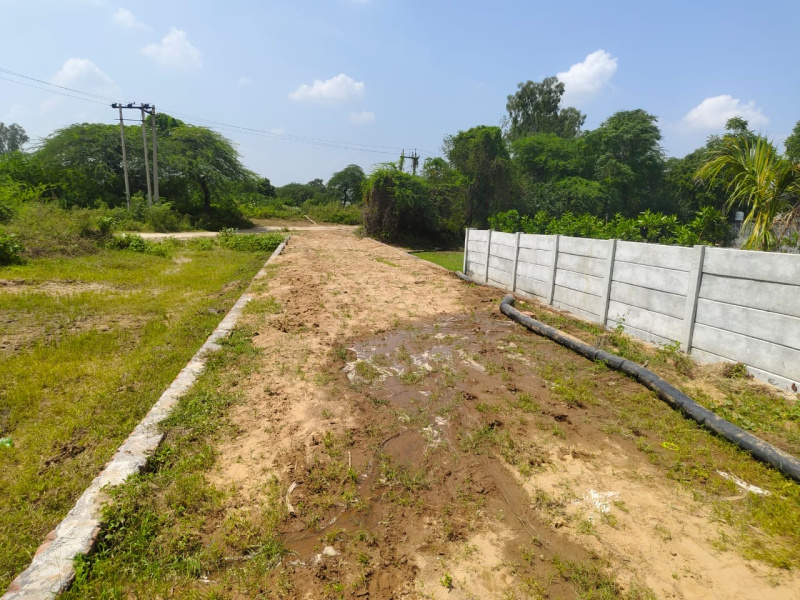  10 Bigha Agricultural/Farm Land for Sale in Pahari, Bharatpur