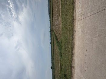  Agricultural Land for Sale in Pahari, Bharatpur