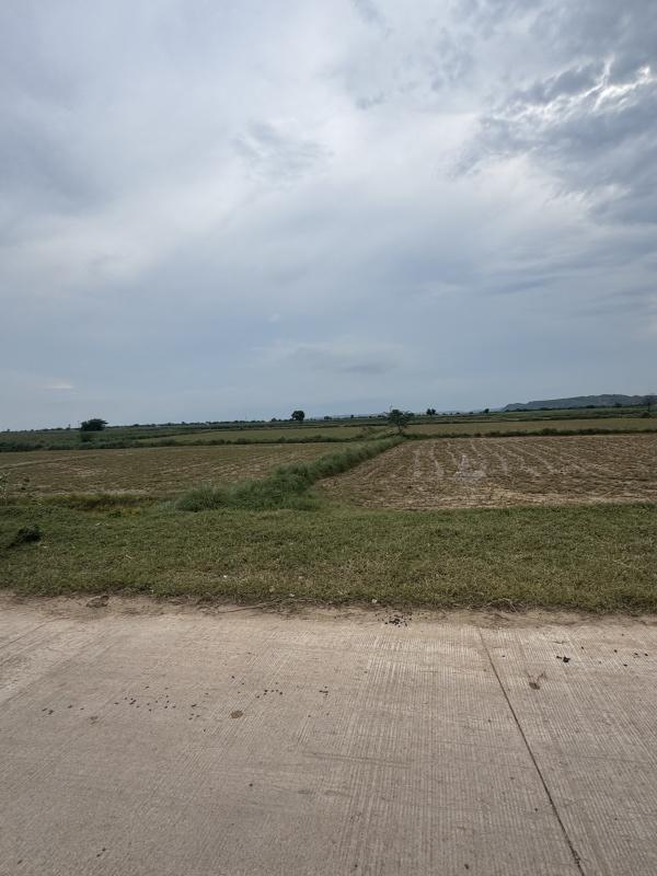  15 Bigha Agricultural/Farm Land for Sale in Pahari, Bharatpur