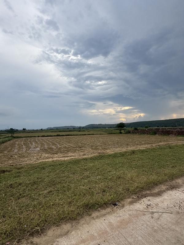  15 Bigha Agricultural/Farm Land for Sale in Pahari, Bharatpur