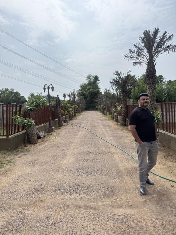  15 Bigha Agricultural/Farm Land for Sale in Naugaon, Alwar