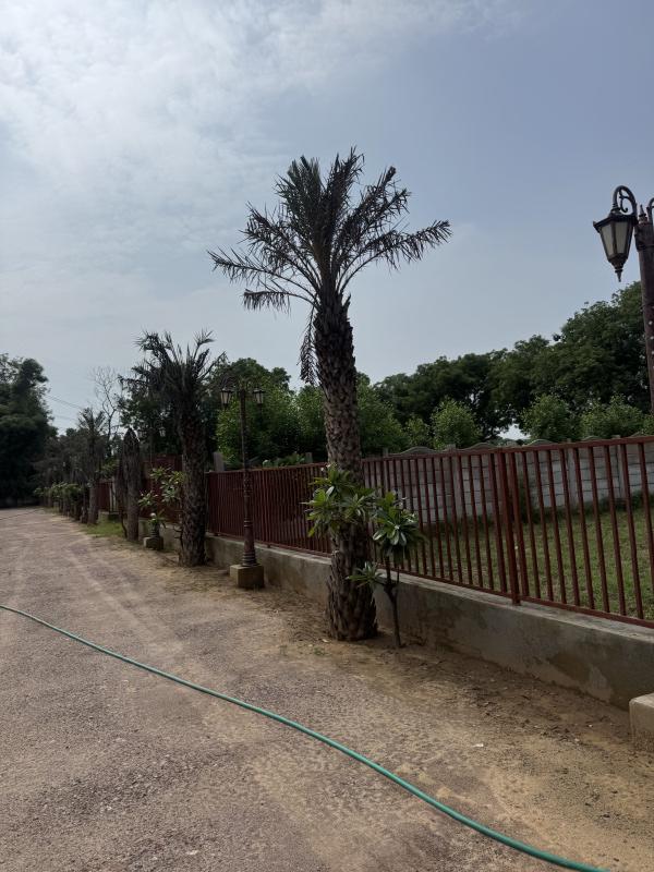  15 Bigha Agricultural/Farm Land for Sale in Naugaon, Alwar