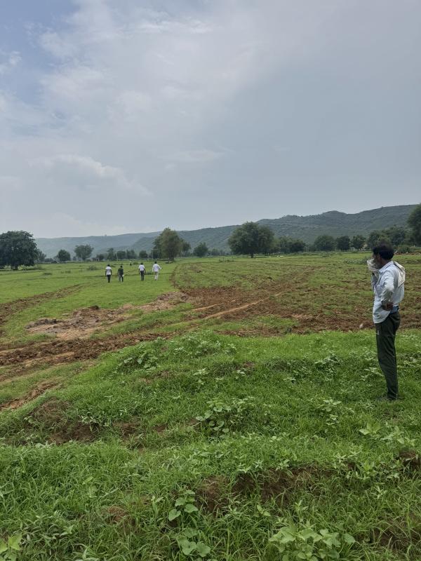  12 Bigha Agricultural/Farm Land for Sale in Naugaon, Alwar