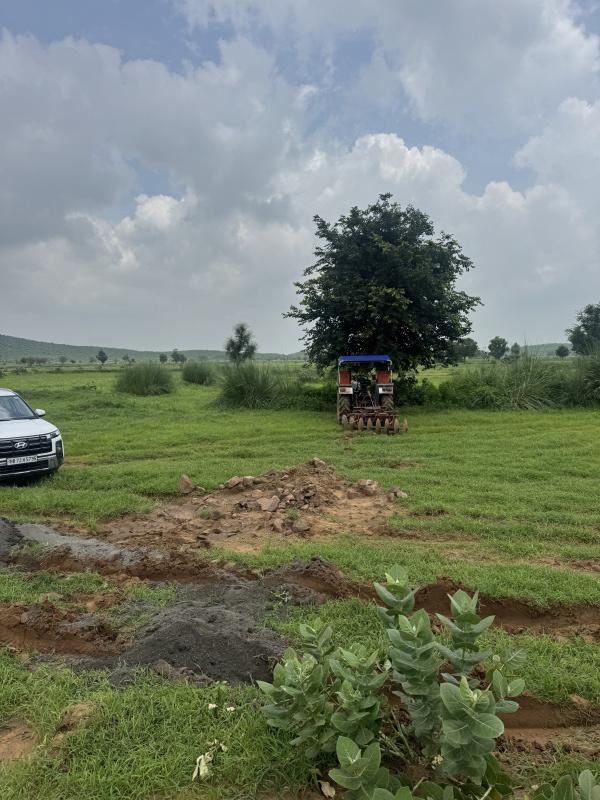  12 Bigha Agricultural/Farm Land for Sale in Naugaon, Alwar