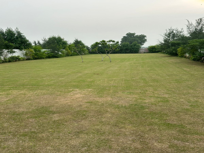  10 Bigha Agricultural/Farm Land for Sale in Pahari, Bharatpur