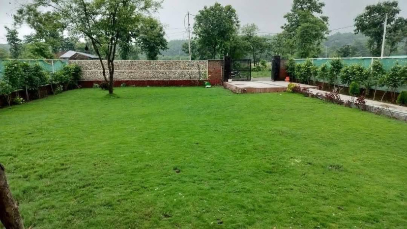  20 Bigha Agricultural/Farm Land for Sale in Naugaon, Alwar
