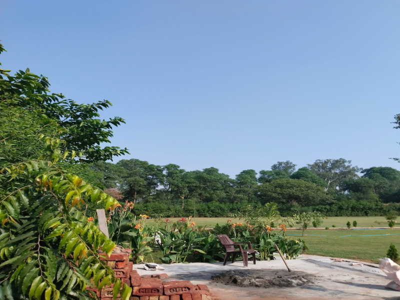  1 Acre Agricultural/Farm Land for Sale in Sohna Road, Gurgaon