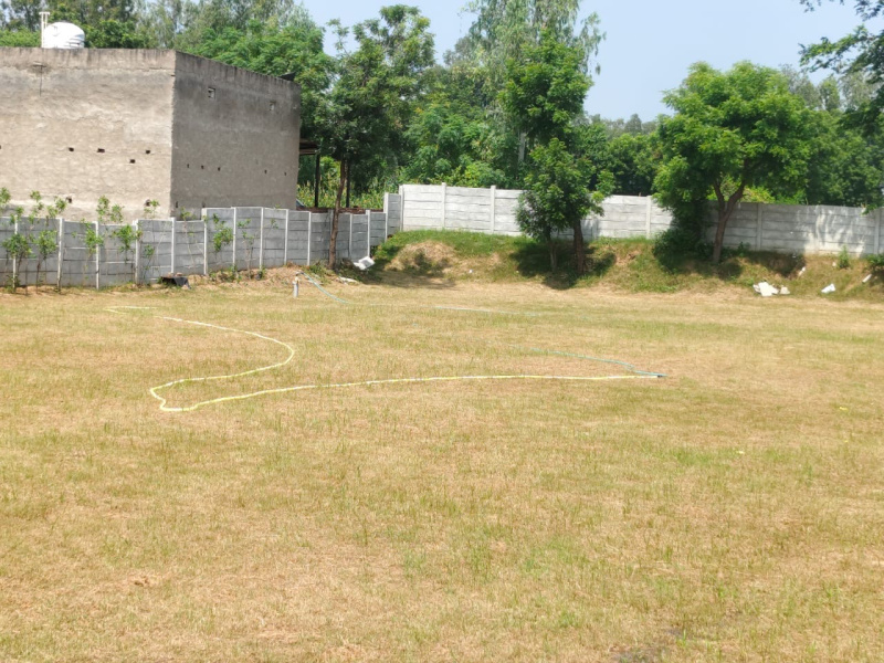  1 Acre Agricultural/Farm Land for Sale in Sohna, Gurgaon