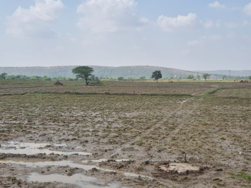  30 Bigha Agricultural/Farm Land for Sale in Naugaon, Alwar