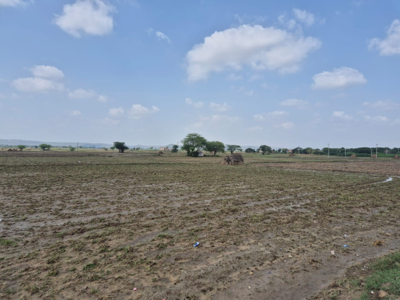  30 Bigha Agricultural/Farm Land for Sale in Naugaon, Alwar
