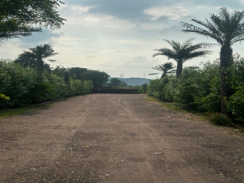  10 Bigha Agricultural/Farm Land for Sale in Naugaon, Alwar