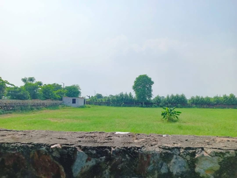  1 Acre Agricultural/Farm Land for Sale in Sohna Road, Faridabad