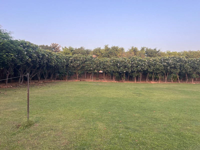  2 Acre Agricultural/Farm Land for Sale in Sohna Road, Faridabad