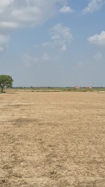 17 Bigha Agricultural/Farm Land for Sale in Naugaon, Alwar