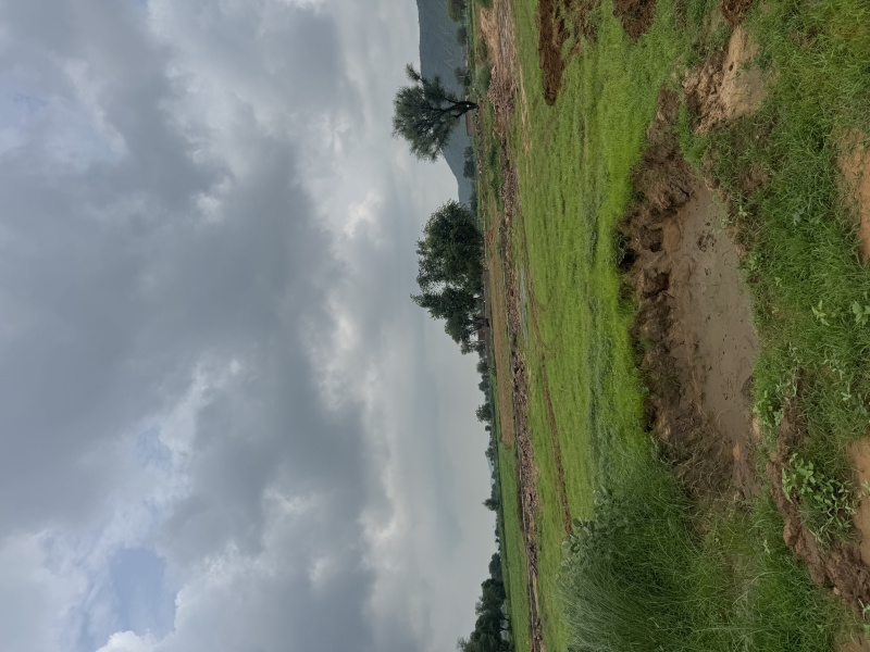  1 Acre Agricultural/Farm Land for Sale in Sohna, Gurgaon