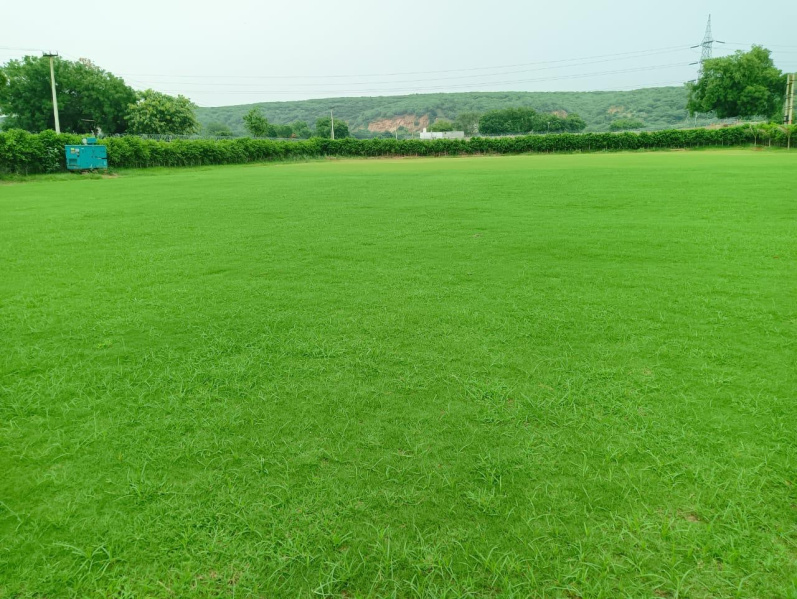  1 Acre Agricultural/Farm Land for Sale in Sohna Palwal Road, Gurgaon
