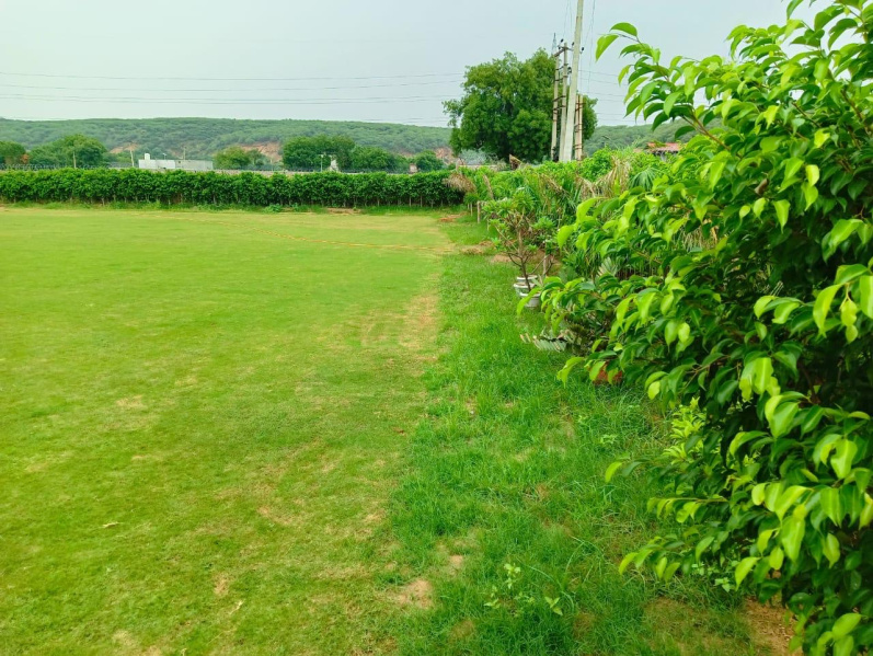  1 Acre Agricultural/Farm Land for Sale in Sohna Palwal Road, Gurgaon