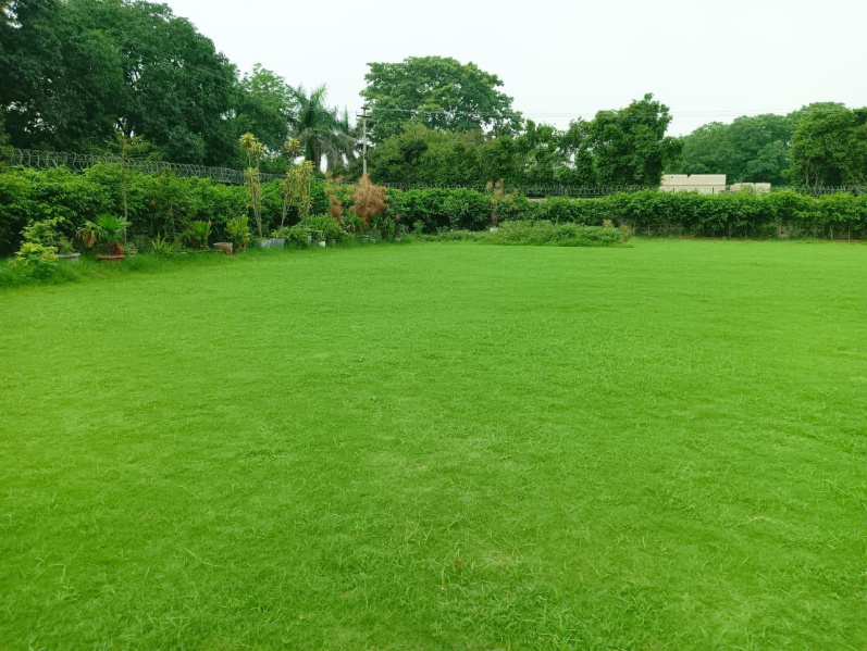  1 Acre Agricultural/Farm Land for Sale in Sohna Palwal Road, Gurgaon