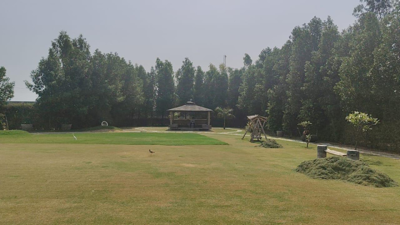 2.5 BHK 15 Bigha Farm House for Sale in Naugaon, Alwar