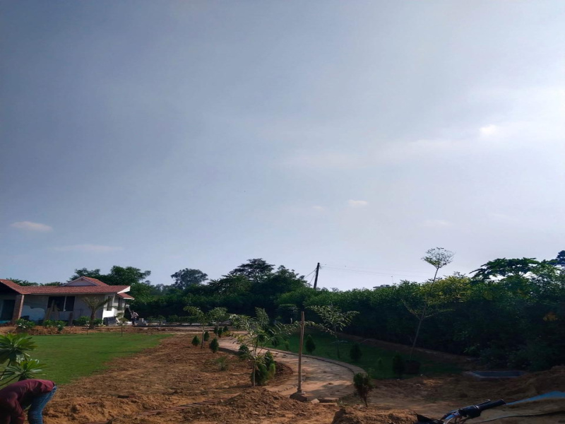  3600 Sq. Yards Agricultural/Farm Land for Sale in Sohna, Gurgaon
