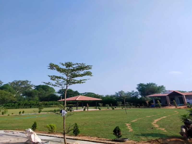  3600 Sq. Yards Agricultural/Farm Land for Sale in Sohna, Gurgaon