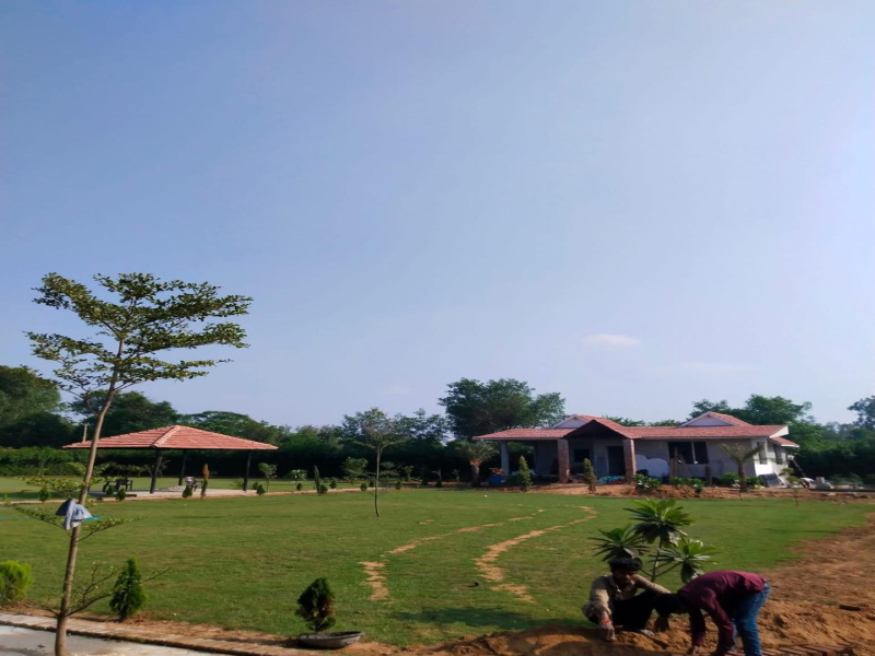  3600 Sq. Yards Agricultural/Farm Land for Sale in Sohna, Gurgaon