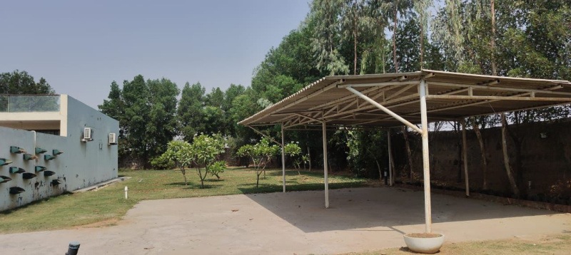  2420 Sq. Yards Agricultural/Farm Land for Sale in Sohna, Gurgaon