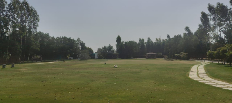  2420 Sq. Yards Agricultural/Farm Land for Sale in Sohna, Gurgaon