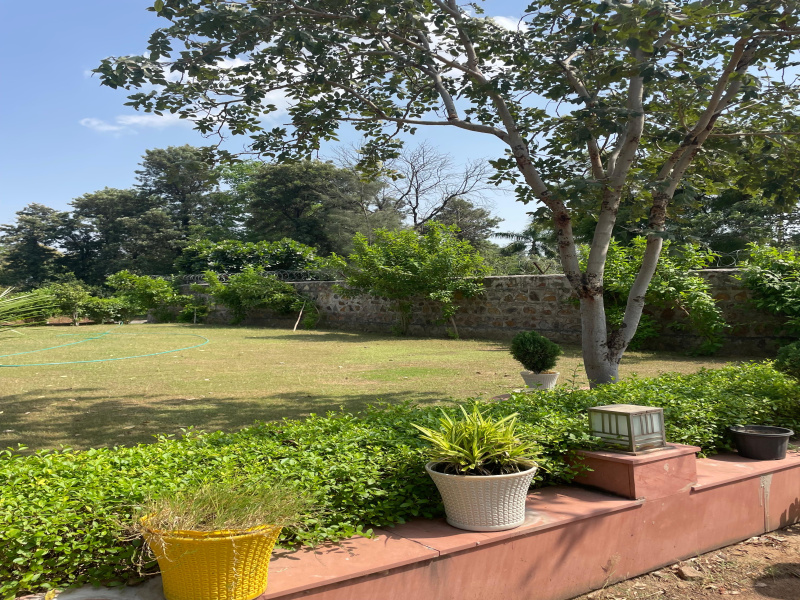  1500 Sq. Yards Agricultural/Farm Land for Sale in Sohna, Gurgaon