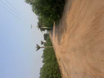  Agricultural Land for Sale in Sohna Road, Gurgaon