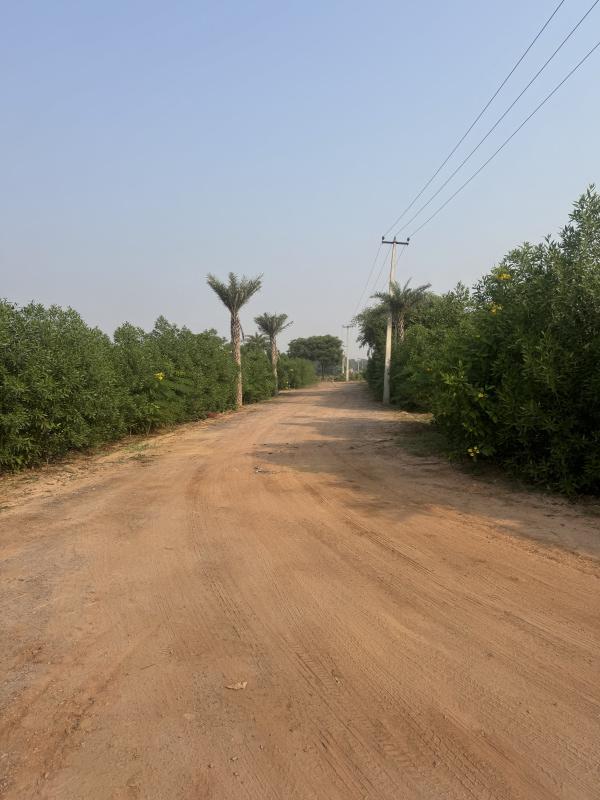 1 Acre Agricultural/Farm Land for Sale in Sohna Road, Gurgaon