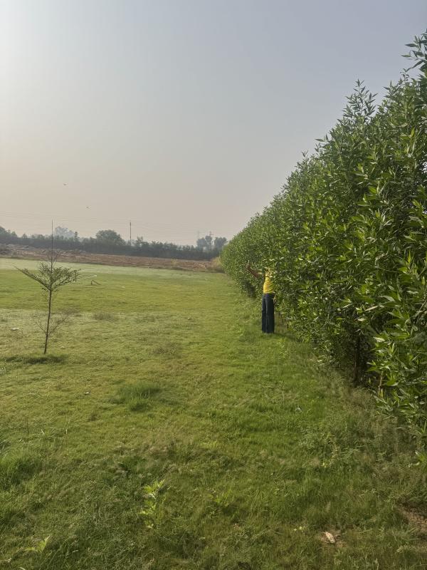 1 Acre Agricultural/Farm Land for Sale in Sohna Road, Gurgaon