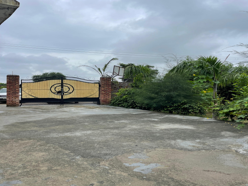 1 Acre Agricultural/Farm Land for Sale in Sohna Road, Gurgaon