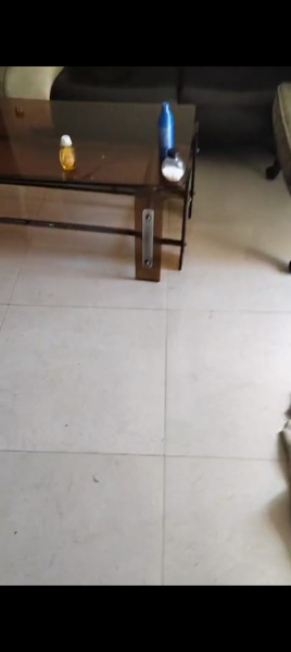 2 BHK 531 Sq.ft. Apartment for Rent in Sohna, Gurgaon