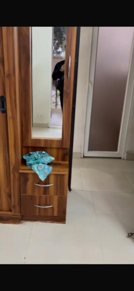 2 BHK 583 Sq.ft. Apartment for Sale in Sohna, Gurgaon