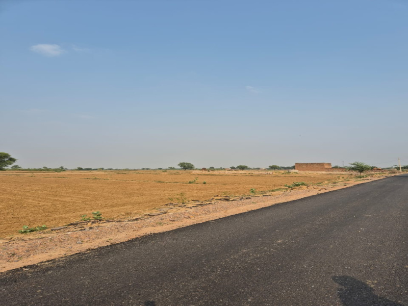 5 Bigha Agricultural/Farm Land for Sale in Naugaon, Alwar