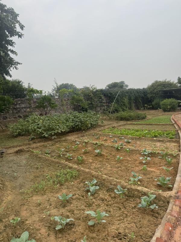  1 Acre Agricultural/Farm Land for Sale in Sohna Road, Gurgaon