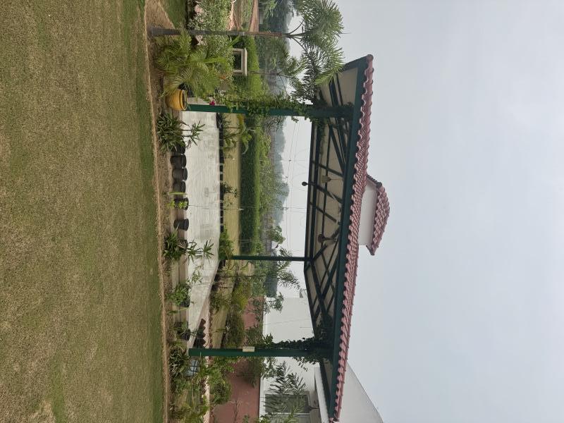  1 Acre Agricultural/Farm Land for Sale in Sohna Road, Gurgaon