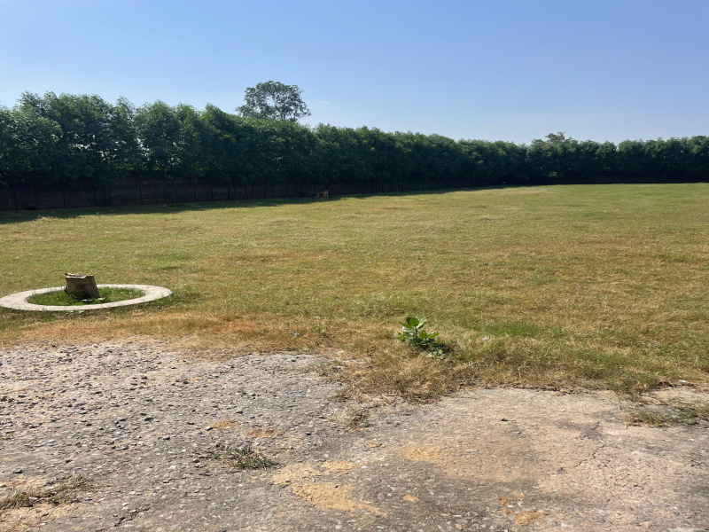  2 Acre Agricultural/Farm Land for Sale in Sohna, Gurgaon